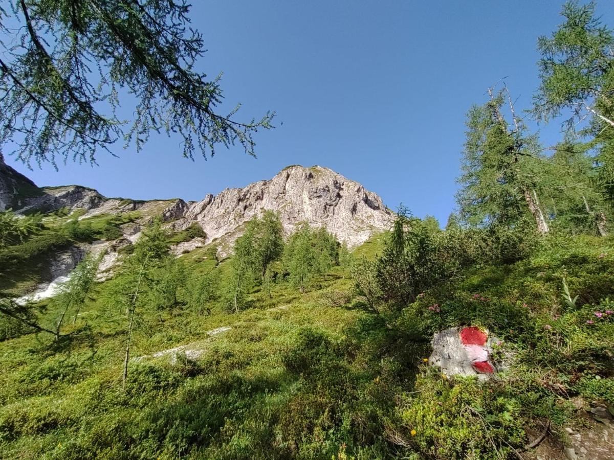 Firstpeak Chalets Zauchensee Dış mekan fotoğraf